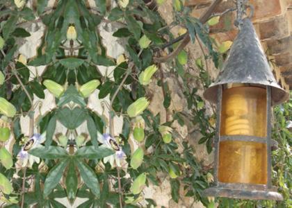 Mas Bella Cortis Bed & Breakfast La Garde-Adhémar Екстериор снимка